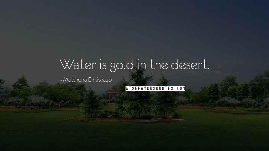Matshona Dhliwayo Quotes: Water is gold in the desert.