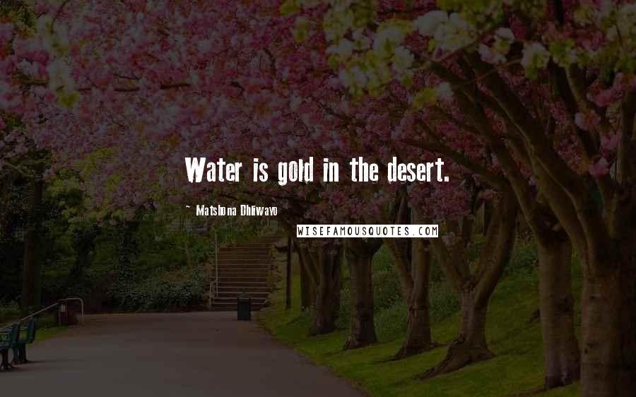 Matshona Dhliwayo Quotes: Water is gold in the desert.