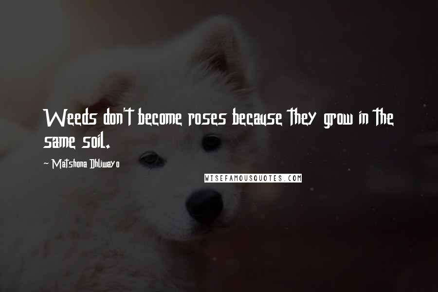 Matshona Dhliwayo Quotes: Weeds don't become roses because they grow in the same soil.