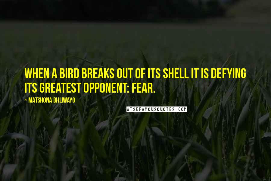 Matshona Dhliwayo Quotes: When a bird breaks out of its shell it is defying its greatest opponent: fear.