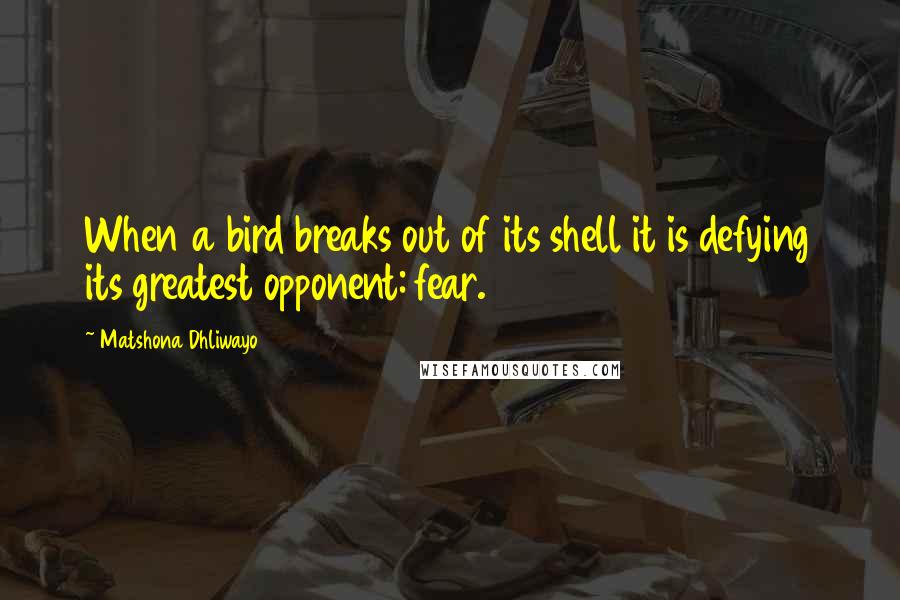Matshona Dhliwayo Quotes: When a bird breaks out of its shell it is defying its greatest opponent: fear.