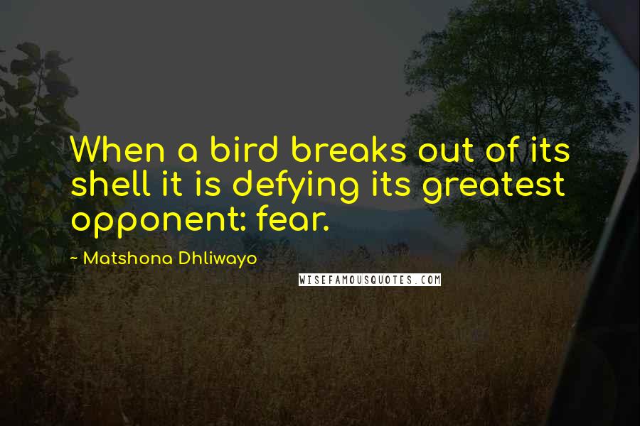 Matshona Dhliwayo Quotes: When a bird breaks out of its shell it is defying its greatest opponent: fear.