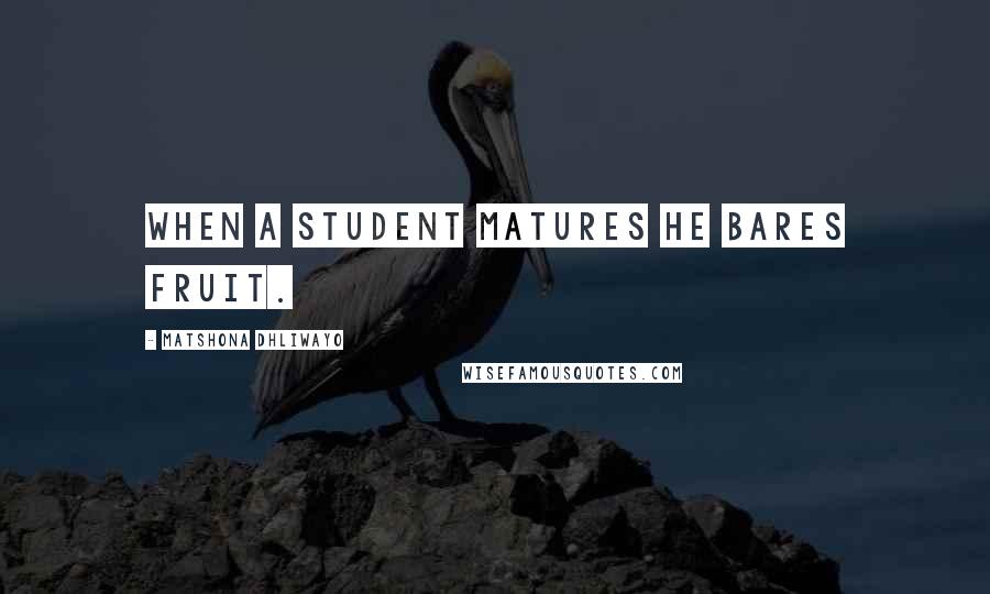 Matshona Dhliwayo Quotes: When a student matures he bares fruit.