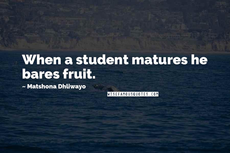 Matshona Dhliwayo Quotes: When a student matures he bares fruit.