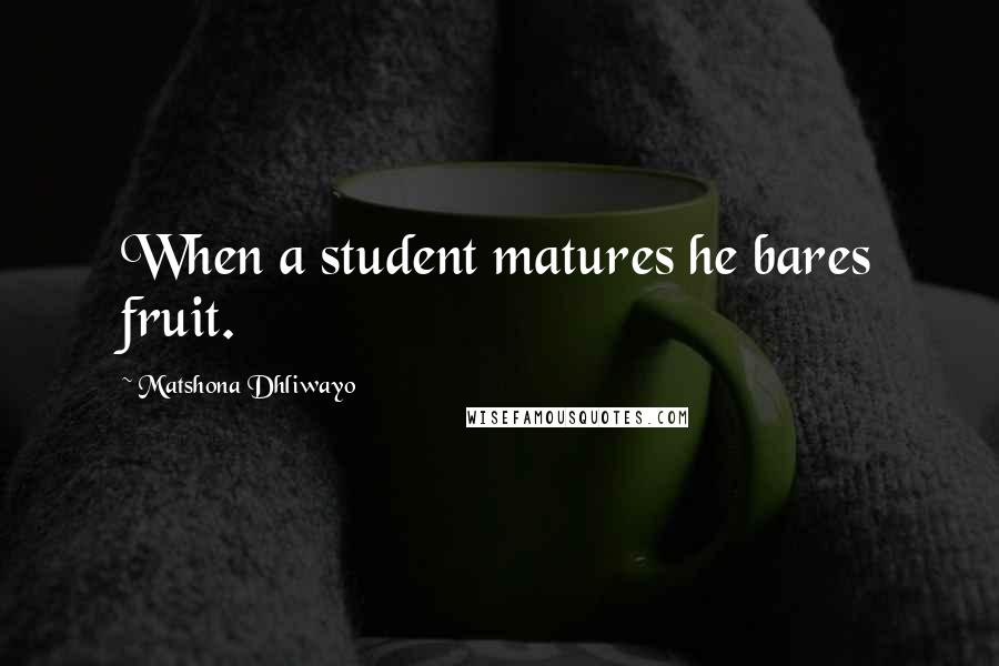 Matshona Dhliwayo Quotes: When a student matures he bares fruit.