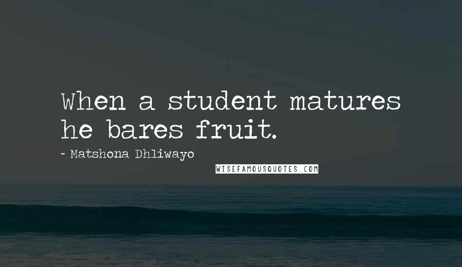 Matshona Dhliwayo Quotes: When a student matures he bares fruit.