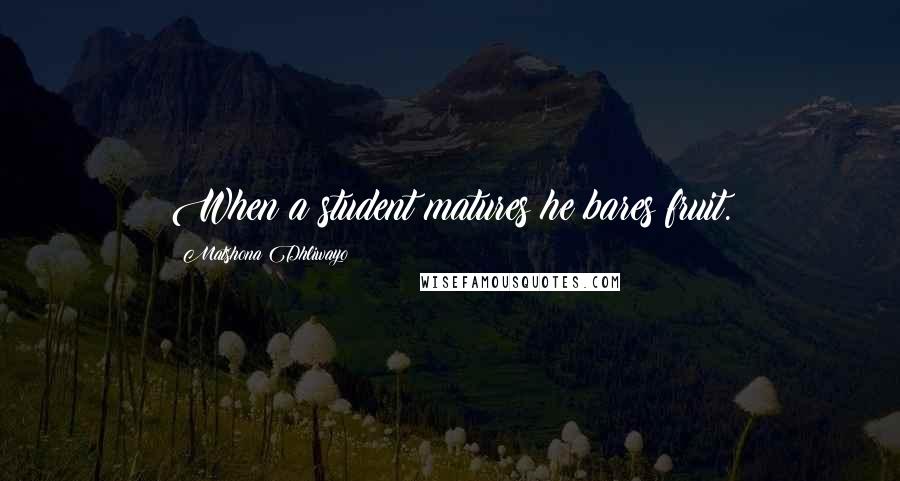 Matshona Dhliwayo Quotes: When a student matures he bares fruit.