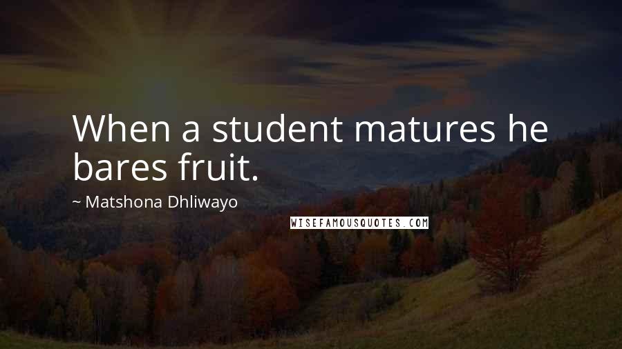 Matshona Dhliwayo Quotes: When a student matures he bares fruit.