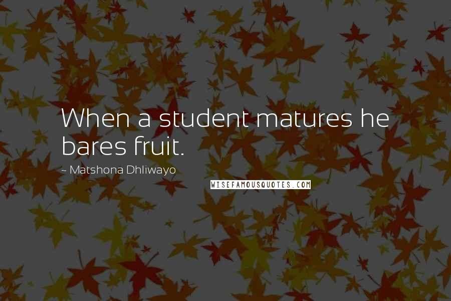 Matshona Dhliwayo Quotes: When a student matures he bares fruit.