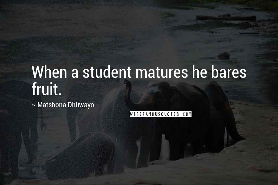 Matshona Dhliwayo Quotes: When a student matures he bares fruit.