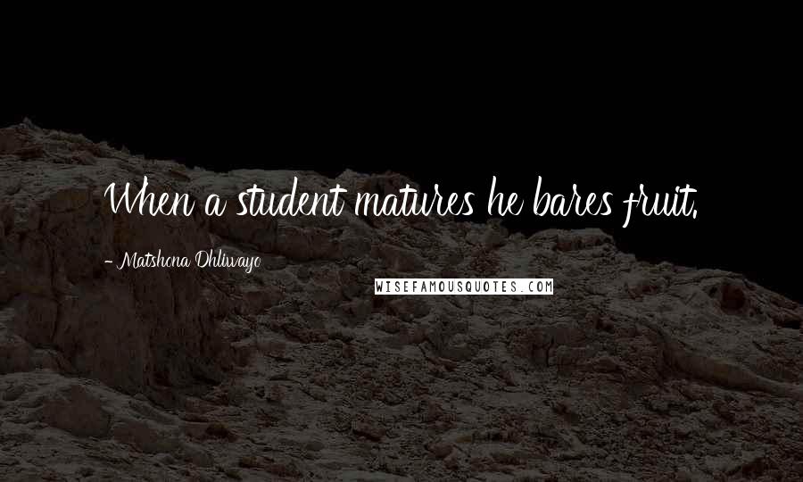 Matshona Dhliwayo Quotes: When a student matures he bares fruit.