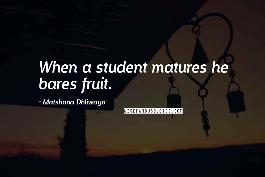 Matshona Dhliwayo Quotes: When a student matures he bares fruit.