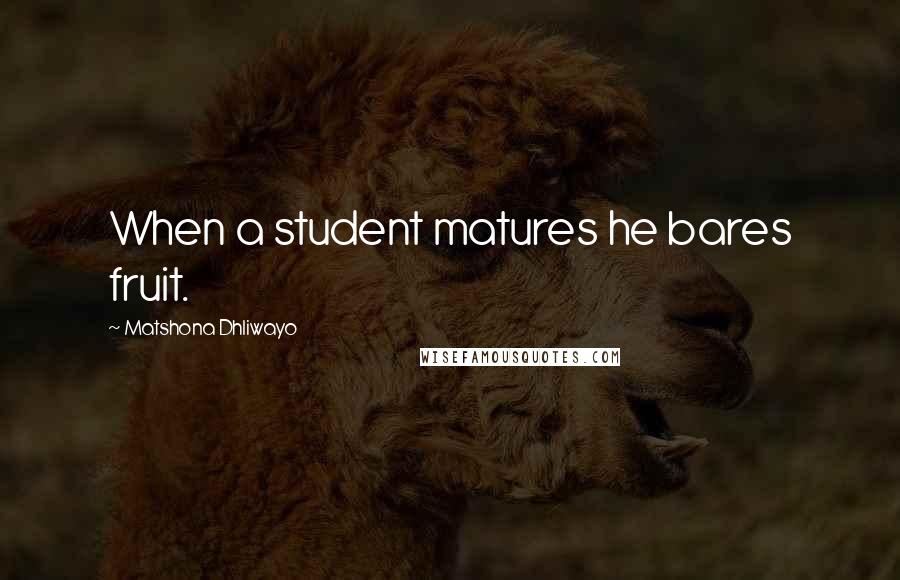 Matshona Dhliwayo Quotes: When a student matures he bares fruit.