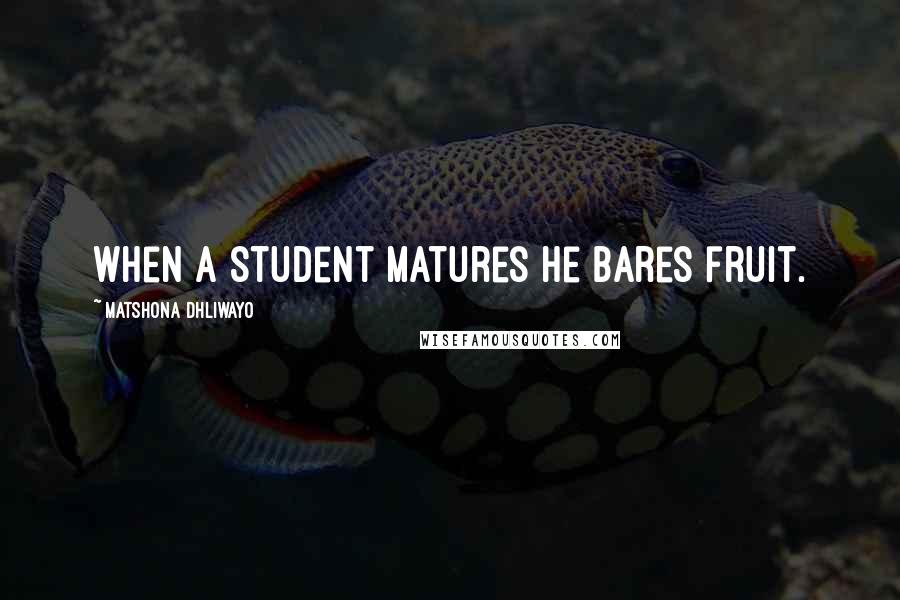 Matshona Dhliwayo Quotes: When a student matures he bares fruit.