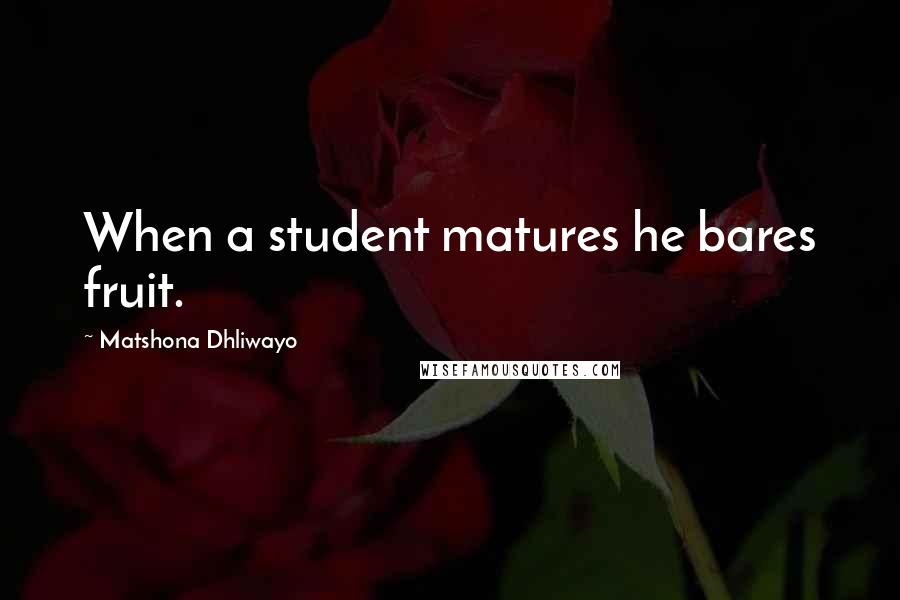 Matshona Dhliwayo Quotes: When a student matures he bares fruit.