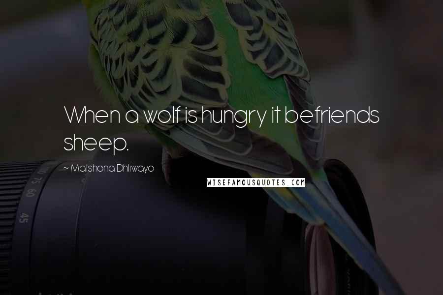 Matshona Dhliwayo Quotes: When a wolf is hungry it befriends sheep.