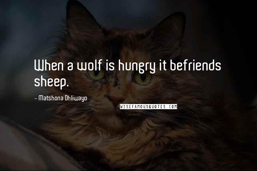Matshona Dhliwayo Quotes: When a wolf is hungry it befriends sheep.