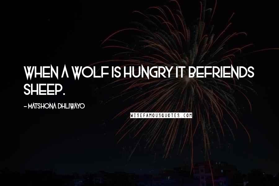 Matshona Dhliwayo Quotes: When a wolf is hungry it befriends sheep.