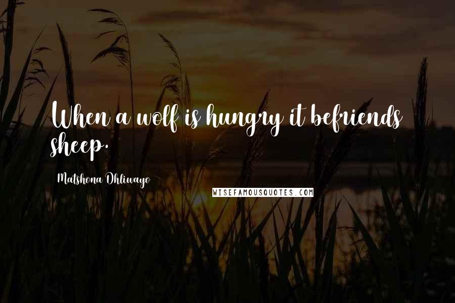Matshona Dhliwayo Quotes: When a wolf is hungry it befriends sheep.