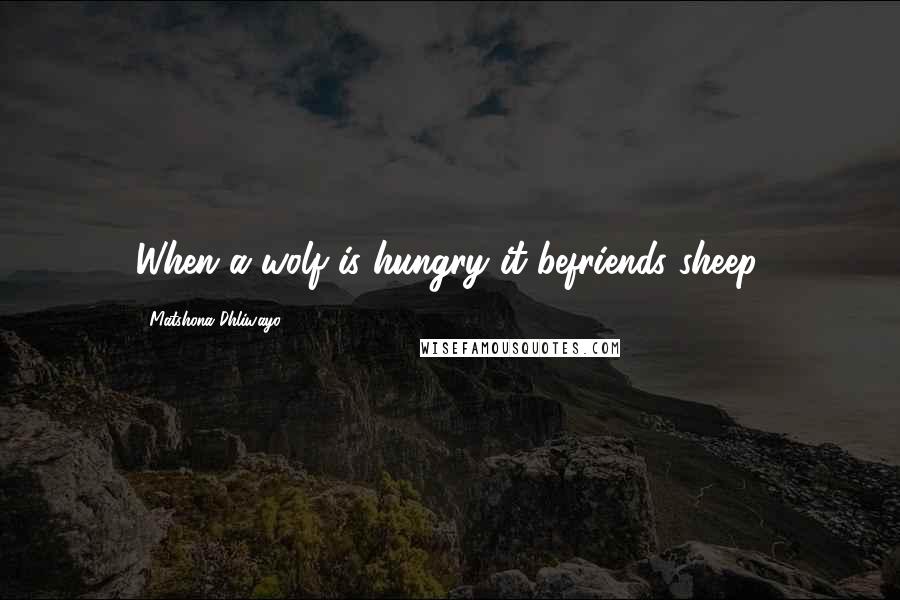 Matshona Dhliwayo Quotes: When a wolf is hungry it befriends sheep.