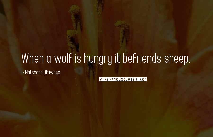 Matshona Dhliwayo Quotes: When a wolf is hungry it befriends sheep.