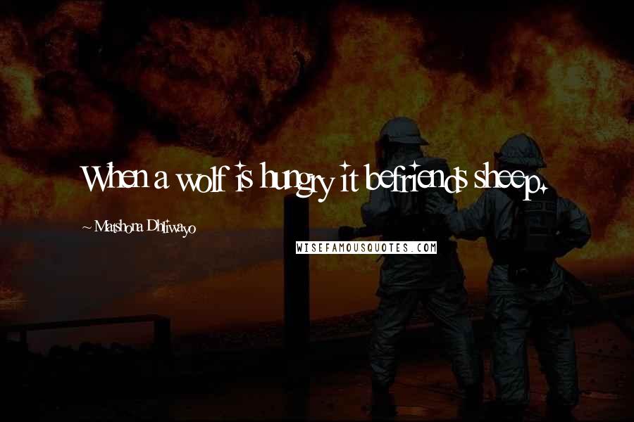 Matshona Dhliwayo Quotes: When a wolf is hungry it befriends sheep.