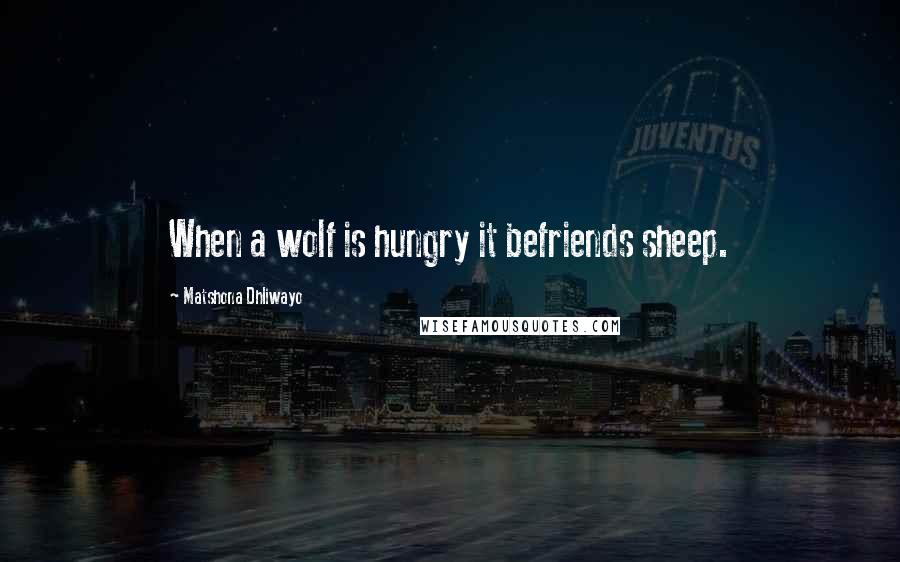 Matshona Dhliwayo Quotes: When a wolf is hungry it befriends sheep.