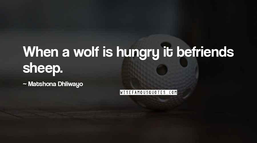 Matshona Dhliwayo Quotes: When a wolf is hungry it befriends sheep.