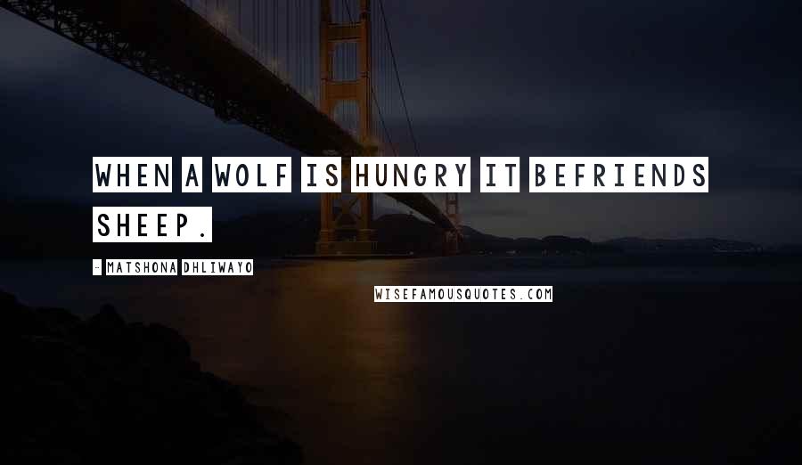 Matshona Dhliwayo Quotes: When a wolf is hungry it befriends sheep.