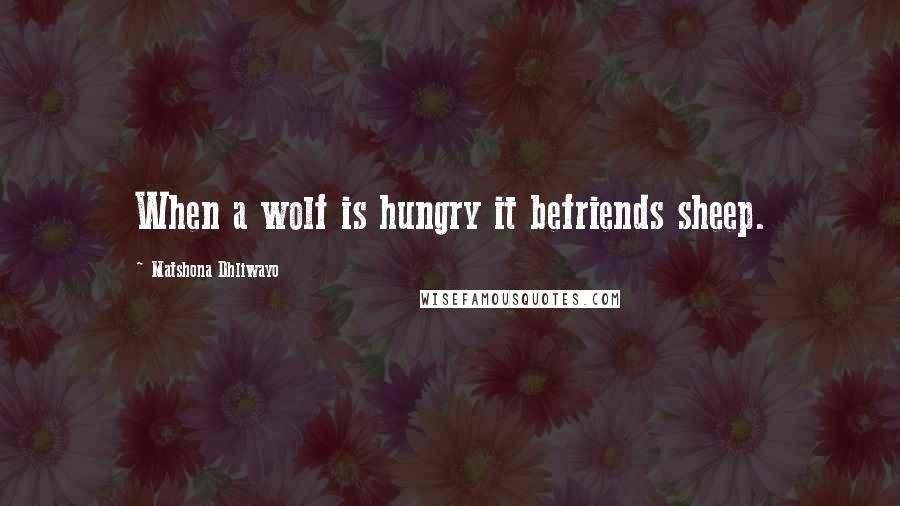 Matshona Dhliwayo Quotes: When a wolf is hungry it befriends sheep.