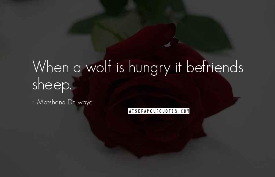 Matshona Dhliwayo Quotes: When a wolf is hungry it befriends sheep.