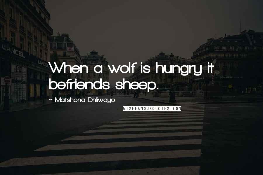 Matshona Dhliwayo Quotes: When a wolf is hungry it befriends sheep.