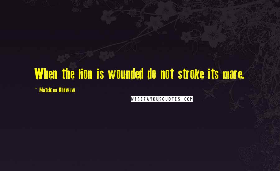 Matshona Dhliwayo Quotes: When the lion is wounded do not stroke its mare.