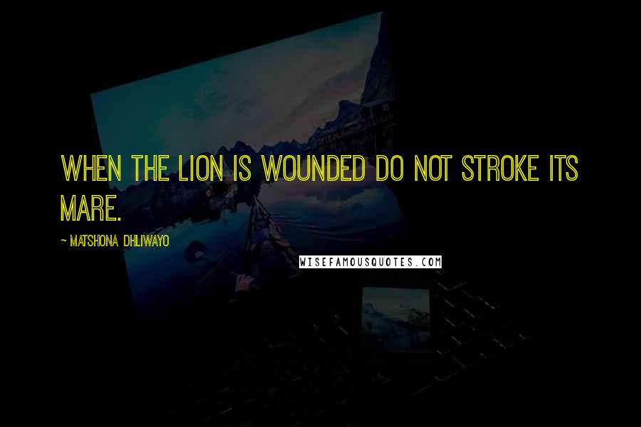 Matshona Dhliwayo Quotes: When the lion is wounded do not stroke its mare.