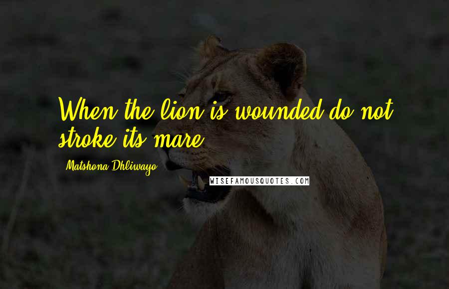 Matshona Dhliwayo Quotes: When the lion is wounded do not stroke its mare.