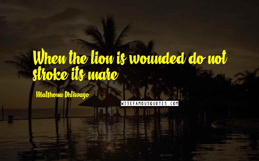 Matshona Dhliwayo Quotes: When the lion is wounded do not stroke its mare.