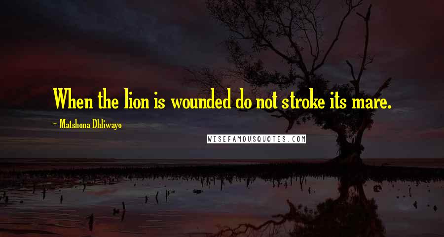 Matshona Dhliwayo Quotes: When the lion is wounded do not stroke its mare.