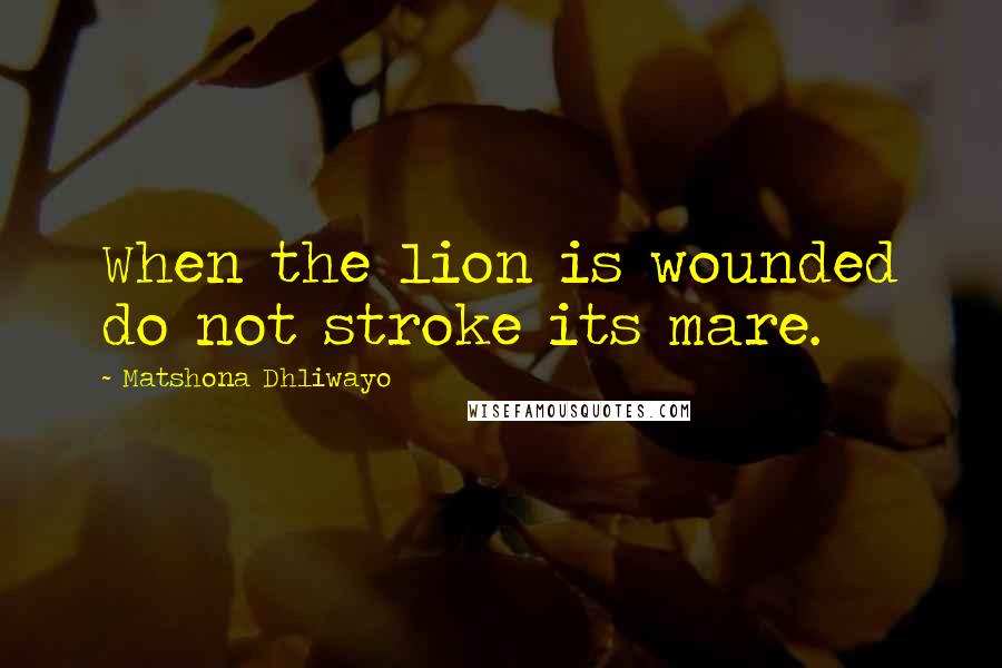 Matshona Dhliwayo Quotes: When the lion is wounded do not stroke its mare.