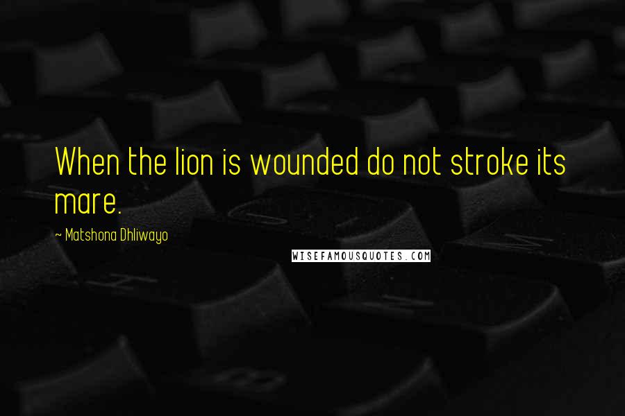 Matshona Dhliwayo Quotes: When the lion is wounded do not stroke its mare.