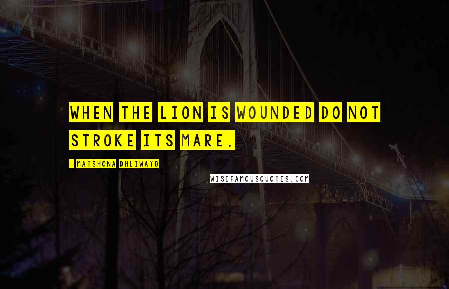 Matshona Dhliwayo Quotes: When the lion is wounded do not stroke its mare.