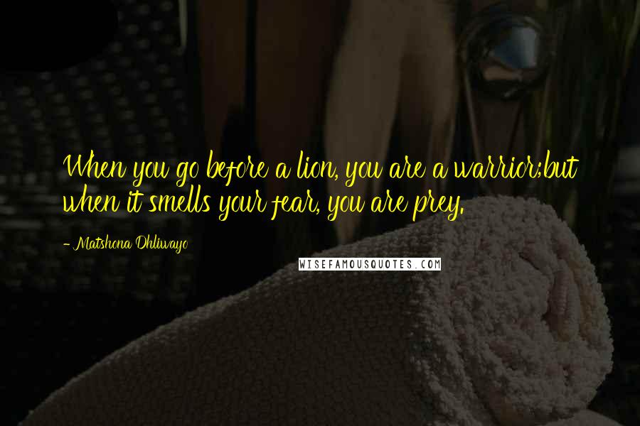 Matshona Dhliwayo Quotes: When you go before a lion, you are a warrior;but when it smells your fear, you are prey.