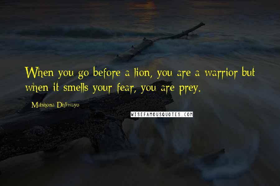 Matshona Dhliwayo Quotes: When you go before a lion, you are a warrior;but when it smells your fear, you are prey.