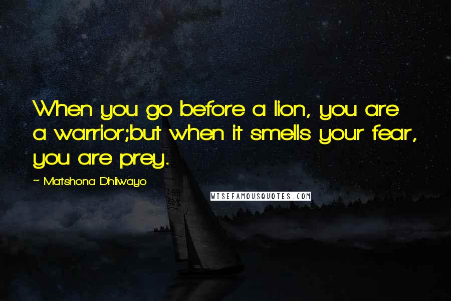 Matshona Dhliwayo Quotes: When you go before a lion, you are a warrior;but when it smells your fear, you are prey.
