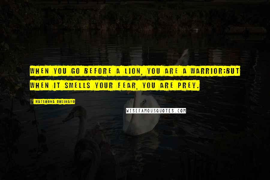 Matshona Dhliwayo Quotes: When you go before a lion, you are a warrior;but when it smells your fear, you are prey.