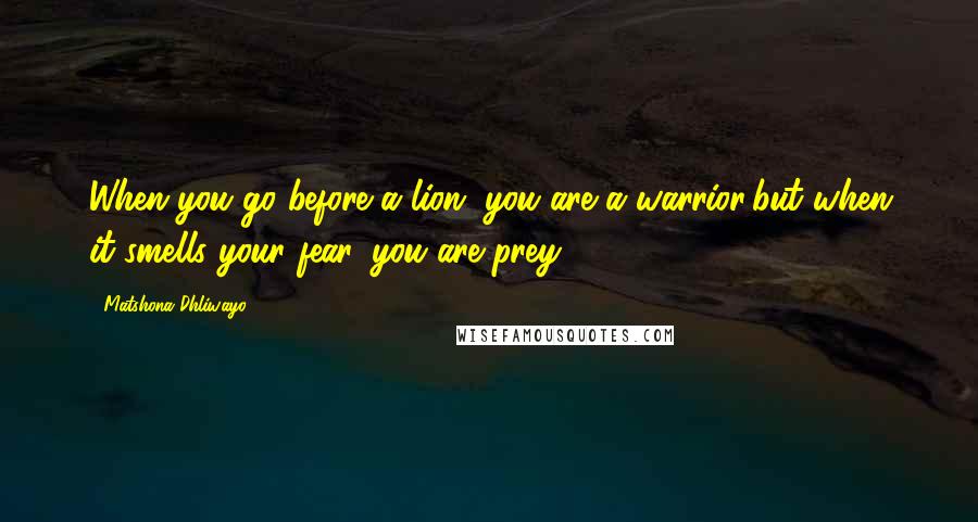 Matshona Dhliwayo Quotes: When you go before a lion, you are a warrior;but when it smells your fear, you are prey.