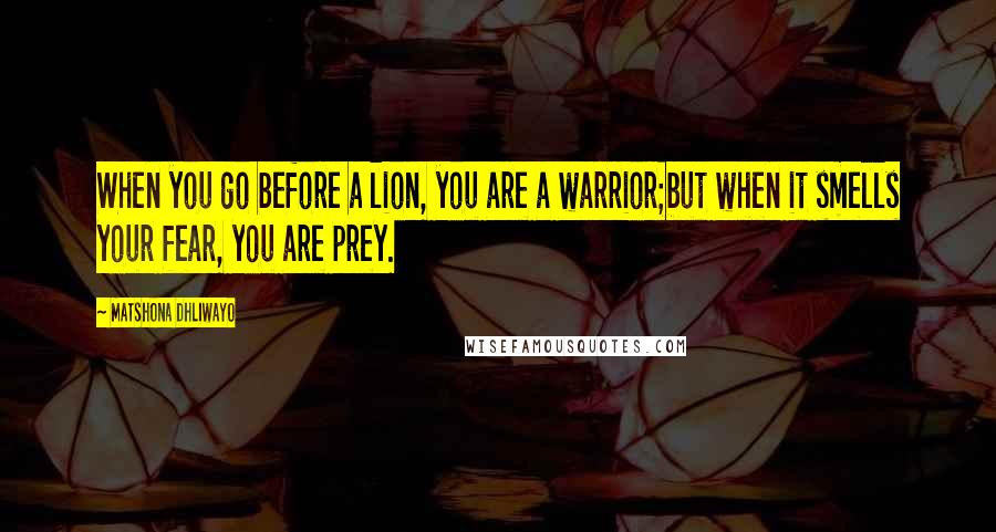 Matshona Dhliwayo Quotes: When you go before a lion, you are a warrior;but when it smells your fear, you are prey.