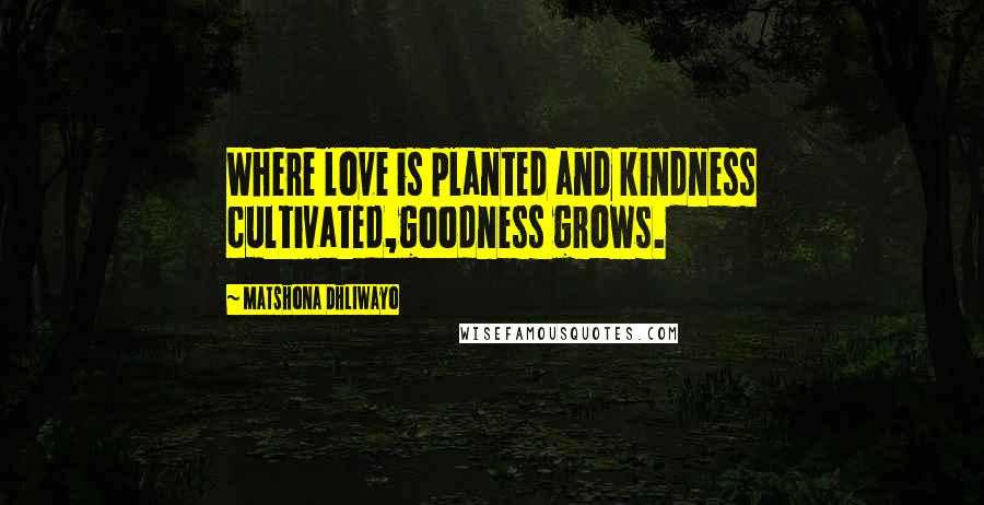 Matshona Dhliwayo Quotes: Where love is planted and kindness cultivated,goodness grows.