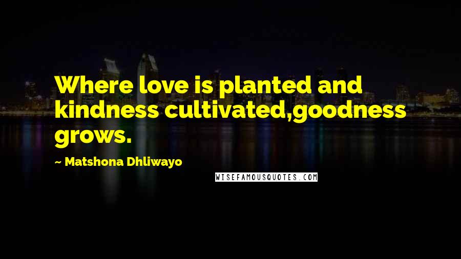 Matshona Dhliwayo Quotes: Where love is planted and kindness cultivated,goodness grows.