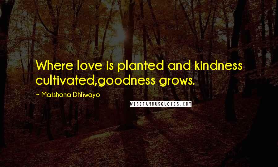 Matshona Dhliwayo Quotes: Where love is planted and kindness cultivated,goodness grows.