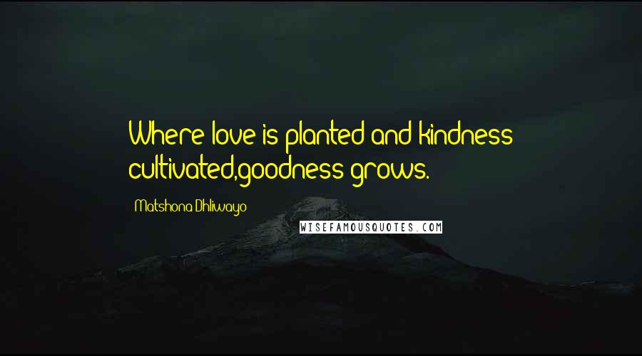 Matshona Dhliwayo Quotes: Where love is planted and kindness cultivated,goodness grows.